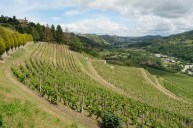 Cossano Belbo 'daki Alta Langa manzarası Cuneo, Piedmont, İtalya.