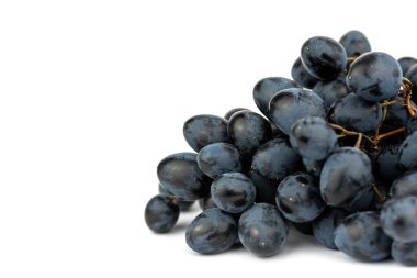 Koyu mavi üzüm meyvesi.