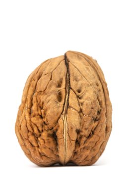 Tek dev, büyük ceviz