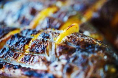 Limonlu ve ızgarada pişirilmiş baharatlı Dorado..