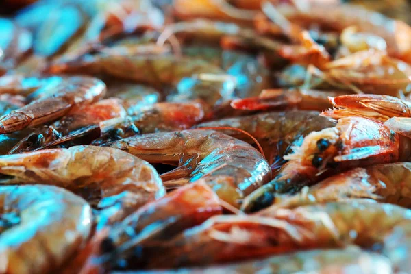 Freshly Caught Shrimp Ready Cooked — Stock Photo, Image
