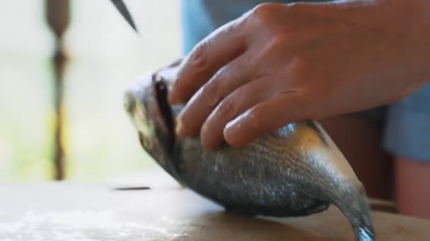 Mistr Kuchař Vykuchá Dorádovou Rybu — Stock video