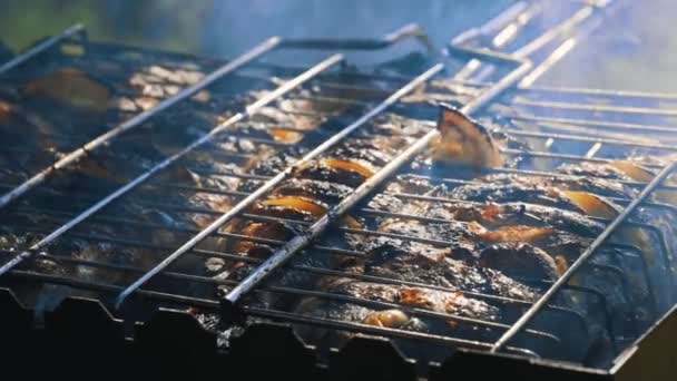 도라도는 향신료를 곁들인 불에서 요리한다 — 비디오