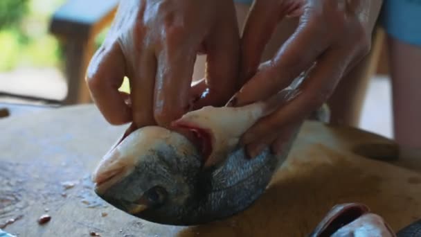 Mistr Kuchař Vykuchá Dorádovou Rybu — Stock video