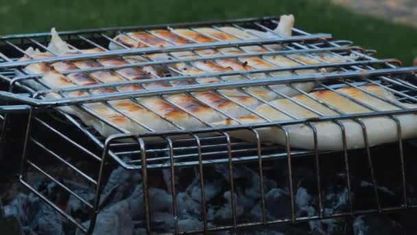 Las Canales Calamar Cocinan Parrilla — Vídeos de Stock