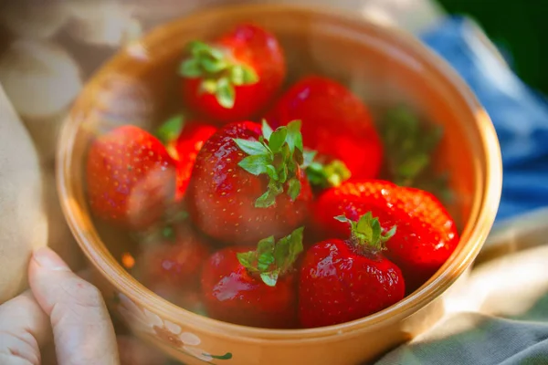 女人夏天吃新鲜摘的草莓 — 图库照片