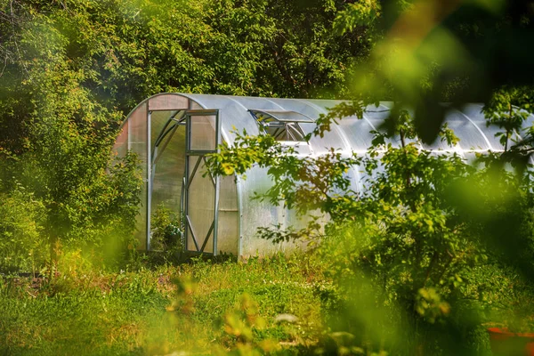 Kas Met Groenten Tuin — Stockfoto