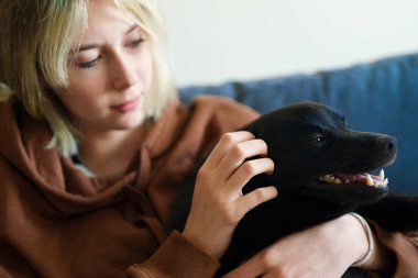 Schipperke köpeği olan genç bir kız..