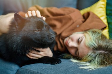 Schipperke köpeği olan genç bir kız..