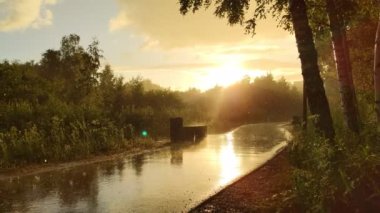 Sıcak bir günde şiddetli yaz yağmuru.