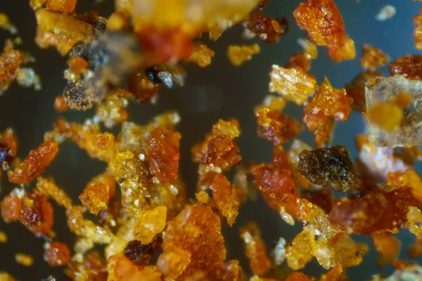 Микроскопический Мир Кухня Приправлена Красным Перцем — стоковое фото