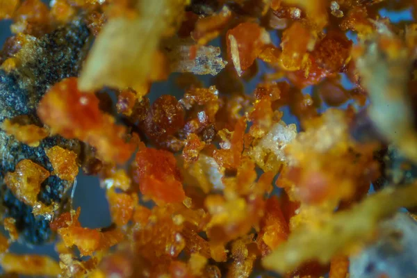 Микроскопический Мир Кухня Приправлена Красным Перцем — стоковое фото