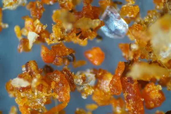 顕微鏡の世界 赤唐辛子とキッチン調味料 — ストック写真