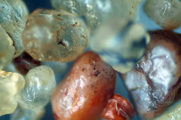 Микроскопический Мир Морские Песчинки — стоковое фото