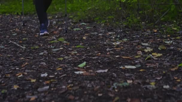 Vrouw Met Wandelstokken Nordic Walking — Stockvideo