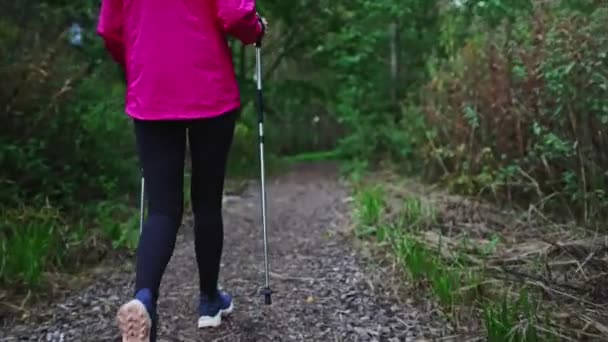 Kobieta Kijami Trekkingowymi Nordic Walking — Wideo stockowe