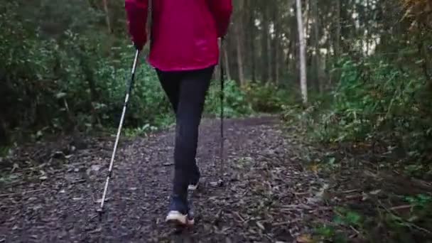 トレッキングスティックを持つ女性 ノルディックウォーキング — ストック動画