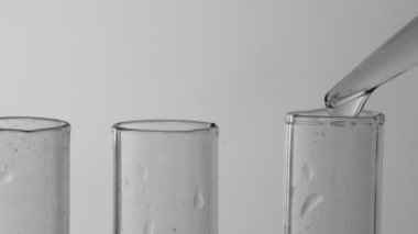 Laboratuvar test tüplerine damlatın. Siyah ve beyaz.