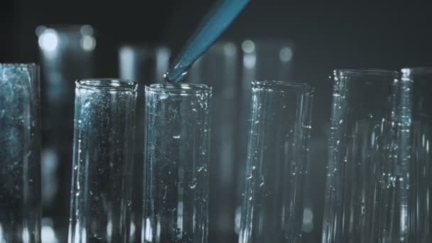 Drop Pipette Drips Laboratory Test Tubes — Stock Video