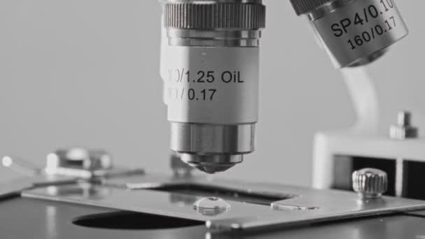 Macro Vista Microscopio Diapositiva Ciencia Tecnología Sanitaria — Vídeo de stock