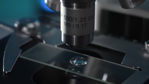 Vue Macro Microscope Diapositive Sciences Technologies Santé — Video