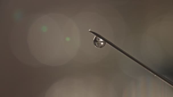 Close Shot Syringe Droplet — Stock Video