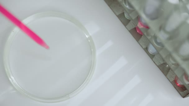 Close Shot Petri Dish Pipette — Stock Video