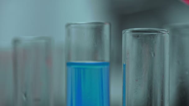 실험실 실험용 튜브에 액체를 — 비디오