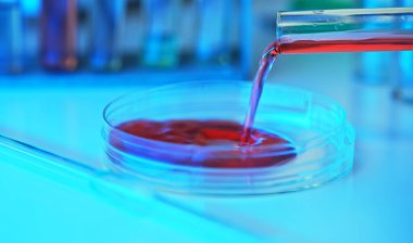 Petri kabını test tüpüyle kapat..