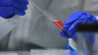 Laboratuvarda deney tüpleri ve petri kabıyla çalışan bir bilim adamı..