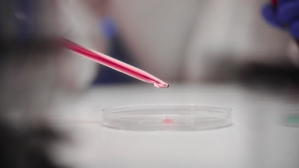 Cientista Que Trabalha Com Tubos Ensaio Placa Petri Laboratório — Vídeo de Stock