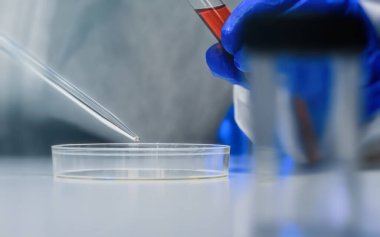 Laboratuvarda deney tüpleri ve petri kabıyla çalışan bir bilim adamı..