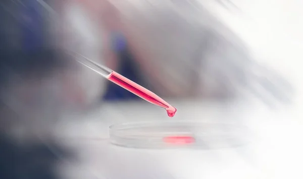 Επιστήμονας Που Εργάζεται Δοκιμαστικούς Σωλήνες Και Τρυβλίο Petri Στο Εργαστήριο — Φωτογραφία Αρχείου