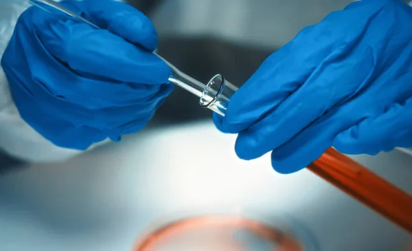 Επιστήμονας Που Εργάζεται Δοκιμαστικούς Σωλήνες Και Τρυβλίο Petri Στο Εργαστήριο — Φωτογραφία Αρχείου