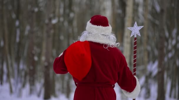 圣诞老人带着魔杖和一袋圣诞礼物在雪地森林里 背景色 — 图库视频影像