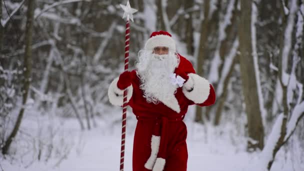 Święty Mikołaj Magiczną Laską Torbą Prezentów Świątecznych Spaceruje Lesie Śnieżnym — Wideo stockowe