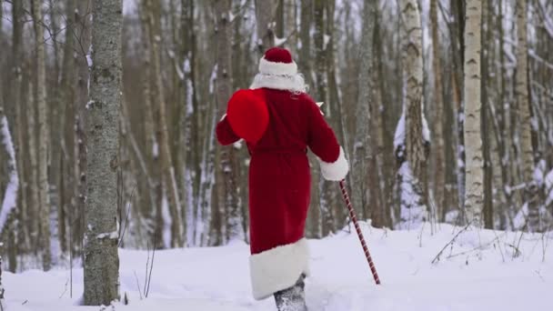 Jultomten Med Magisk Personal Och Påse Julklappar Snön Skogen Bakifrån — Stockvideo