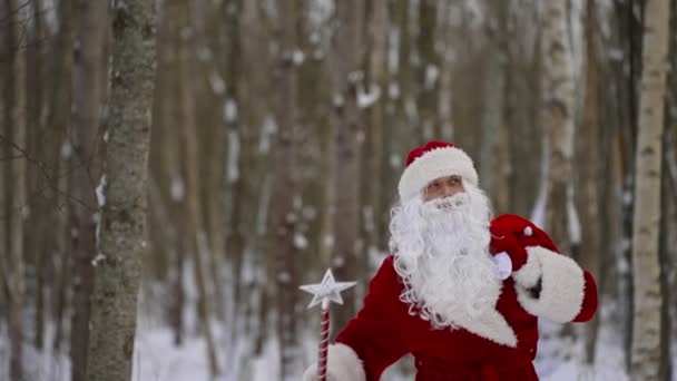 魔法のスタッフとクリスマスプレゼントの袋を持つサンタクロースは雪の森の中を歩いています — ストック動画