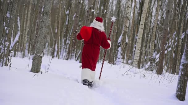 Санта Клаус Волшебным Посохом Мешком Рождественских Подарков Снежном Лесу Вид — стоковое видео