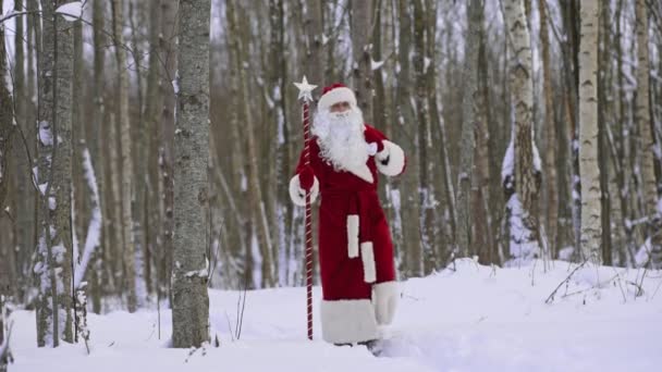 Санта Клаус Волшебным Посохом Мешком Рождественских Подарков Прогулка Снежному Лесу — стоковое видео