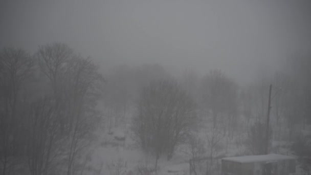 Forte Tempesta Neve Quasi Nulla Visibile — Video Stock