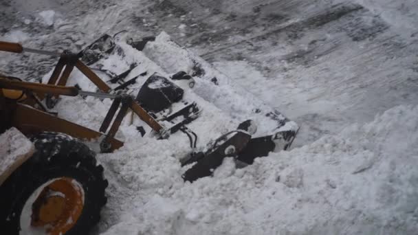 Ciągnika Shoveling Śniegu Ulicy — Wideo stockowe