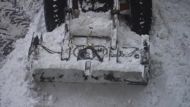 Tractor Shoveling Snow Street — Stock Video