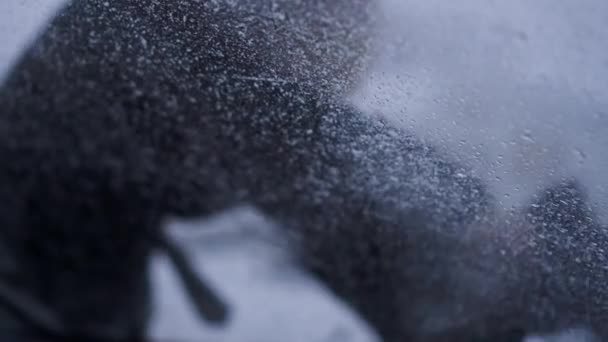 雪の中で車の女性の清掃フロントガラス — ストック動画