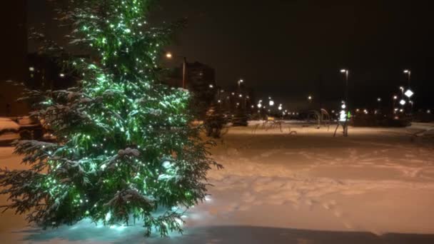 New Year Tree Neighborhood — Stock Video