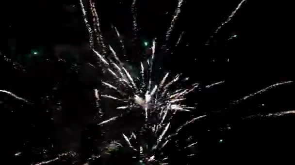 天空中的烟火 新年庆祝活动 — 图库视频影像