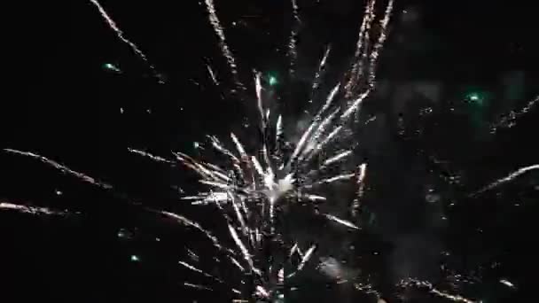 Fireworks Sky New Year Celebration — Stock Video