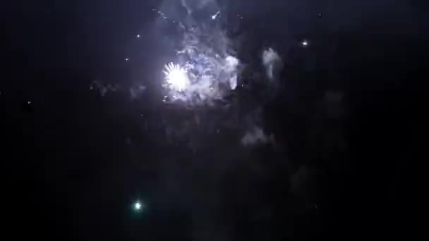 Gökyüzünde Havai Fişekler Yeni Yıl Kutlaması — Stok video