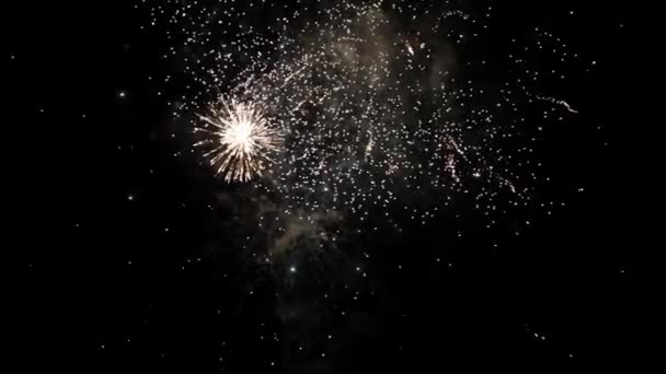 Ağır Çekimde Havai Fişekler Yeni Yıl Kutlaması — Stok video