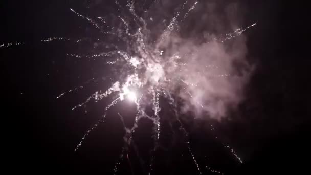 Πυροτεχνήματα Αργή Κίνηση Γιορτή Του Νέου Έτους — Αρχείο Βίντεο